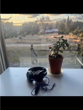 Over-Ear Wired Headset in Black with Purple Cable